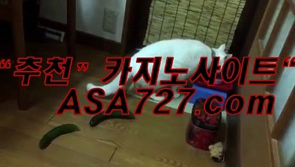 호텔카지노검증▶▶ PVP191。c Ｏ m ◀◀배터리게임