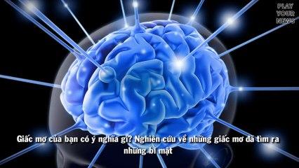 Truy tìm đáp án đằng sau những giấc mơ của con người?