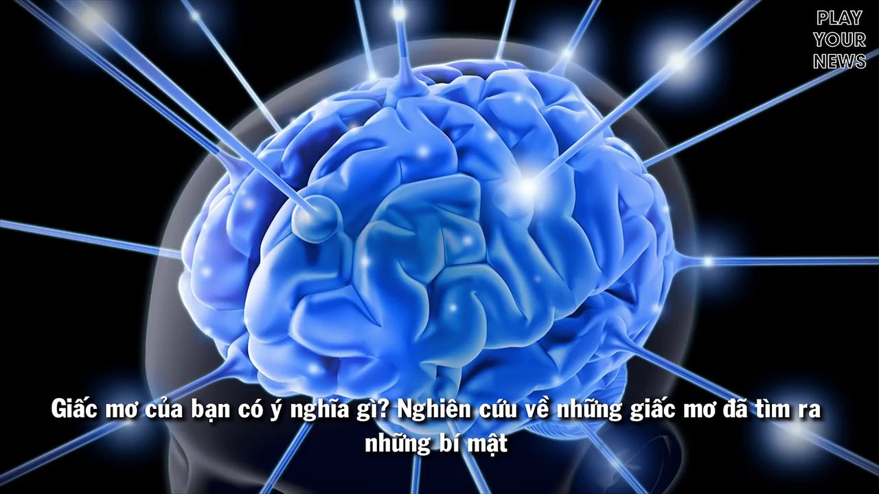 Truy tìm đáp án đằng sau những giấc mơ của con người?