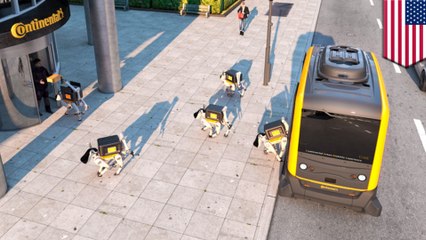 Robot delivery dogs could soon be delivering your packages