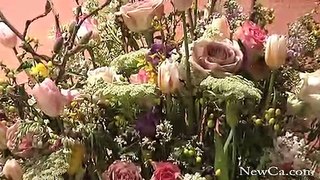 2009 Canada Blooms: CountryCasual (HD)