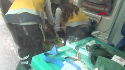 Kütahya Boşandığı Eşini Sokakta 9 Kurşunla Öldürdü