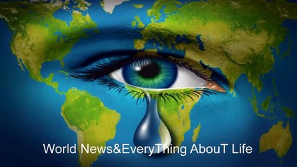 فيديو مؤثر لمجموعة كلاب ركضت لأميال خلف سيارة إسعاف حملت صاحبهم للمستشفى