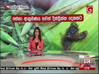 Ada Derana Lunch Time News 11-01-2019