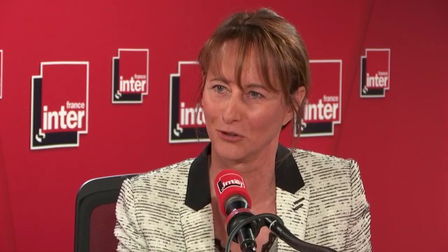 Ségolène Royal, ex-ministre de l'Environnement, ambassadrice des pôles Arctique et Antarctique : Je reprends ma liberté de ne pas être candidate, mais je reste dans le jeu des européennes