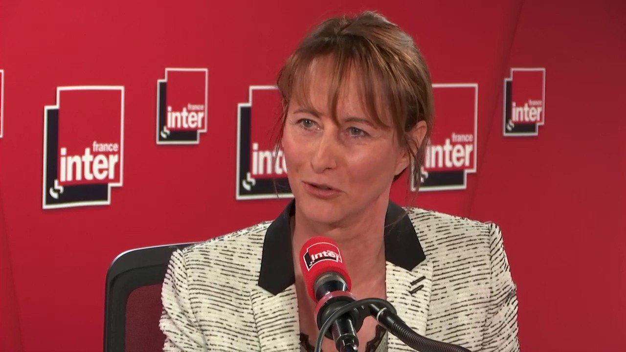 Ségolène Royal, ex-ministre de l'Environnement,...