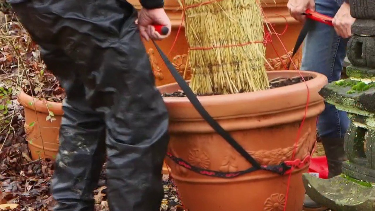 Jardin - Quatre outils pour le jardinage