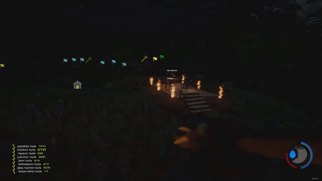 THE FOREST - ARENA!