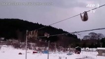 Monkeying about: Japan macaques on high-wire stroll go viral