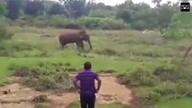 فيديو: حاول أن يمرح مع فيل ضخم وينومه مغناطيسياً فأرداه قتيلاً !