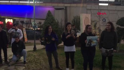 Antalya Sürpriz Evlilik Teklifi Duygulandırdı