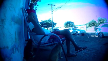 os cachorros do Imidio . da vila progresso de Jatai goiás