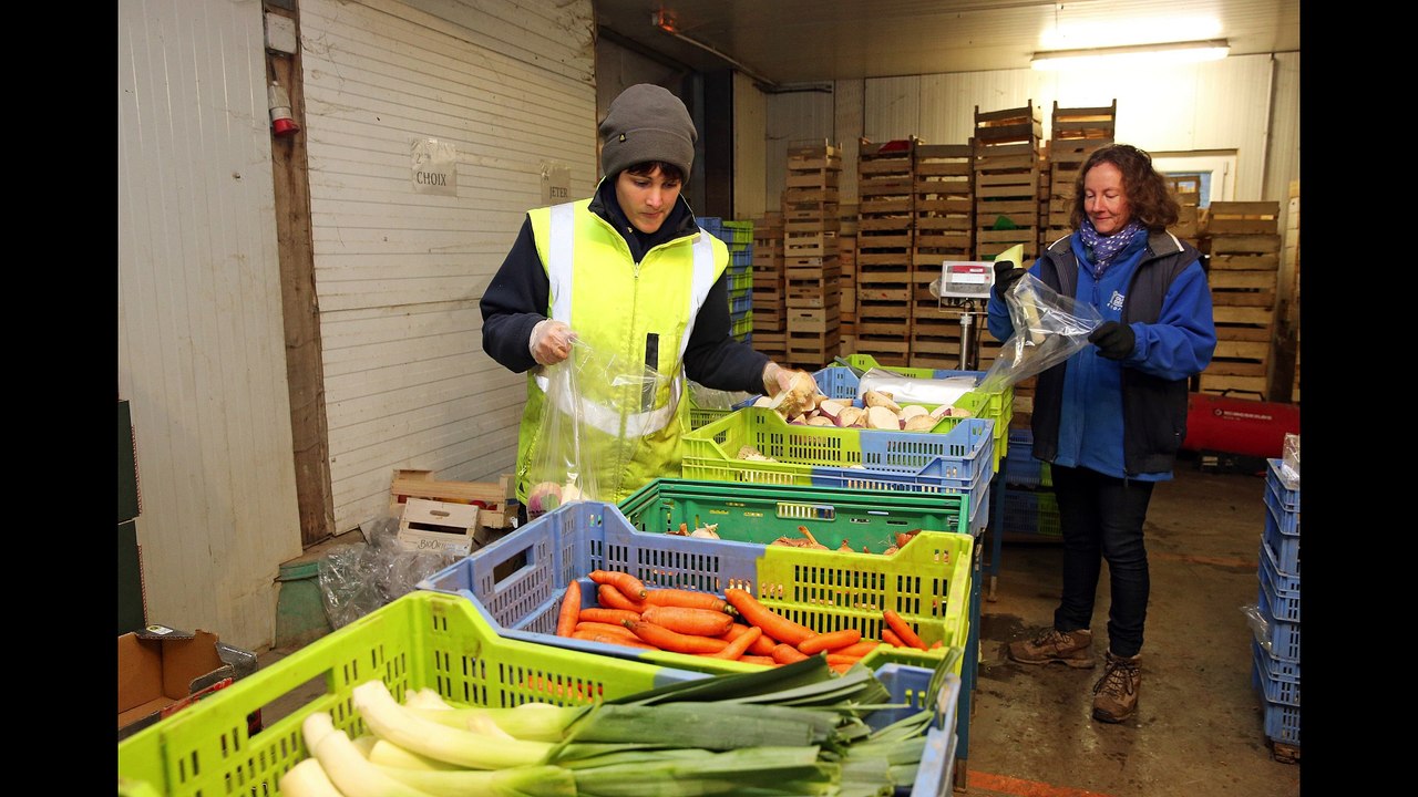 Paniers bio : Du champs à la cuisine