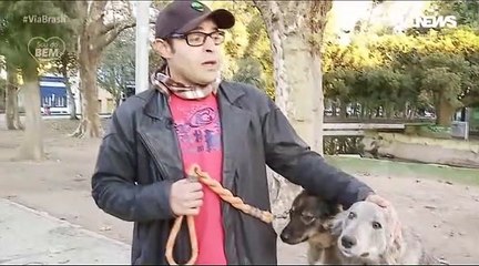 Adestrador de cachorros dedica parte do dia a ensinar vira-latas sem dono