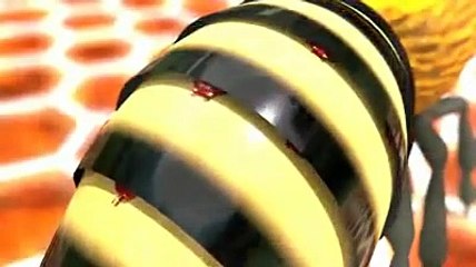 Θεραπεία βαρρόα με ευκάλυπτο στο καπνηστίρι: Δείτε πως εφαρμόζεται στα μελίσσια βίντεο