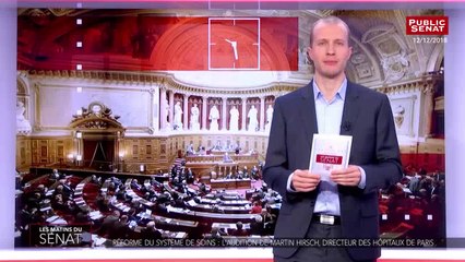 Réforme du système de soins : audition de martin hirsch, directeur des hôpitaux de paris  - Les matins du Sénat (11/01/2019)