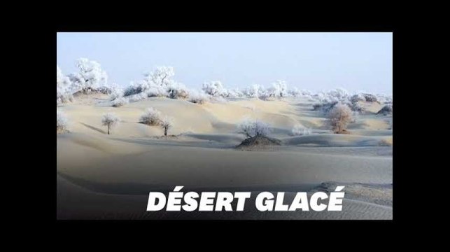 Le givre transforme ce désert chinois en un paysage féerique