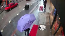 O momento reconfortante em que mulher usa a sua echarpe para proteger um cão de rua do frio