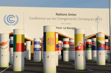 Sommets pour l'environnement : les COP, qu'est-ce que c'est ?