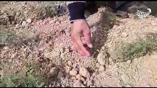 Soil pollution adds to farmers woes in Bundelkhand