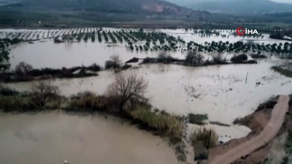 Bakırçay Deresi taştı atlar mahsur kaldı