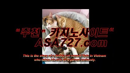 엑스오카지노《《 ＰＰＴ474。c Ｏ m 》》블랙잭게임