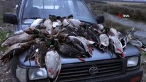 ‘Kuş Cenneti’nde ördek katliamına 22 bin 595 lira ceza