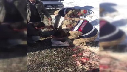 Jandarma Yaralı Dağ Keçisini Battaniyeye Sardı