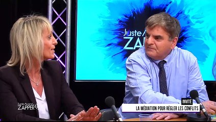 Juste Avant de Zapper - Samedi 12 Janvier - Global Médiation / Prévisions 2019