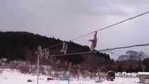 شاهد: قردة تتسلق أسلاكا كهربائية تجنبا للمشي على الثلج في اليابان