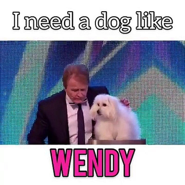 Top 20 Funny Clips || Try Not To Laugh or Grain || Best Comedy Prank Videos Compilation