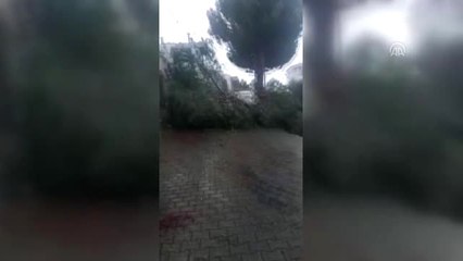 Şiddetli Yağış Balıkesir'de Etkili Oldu