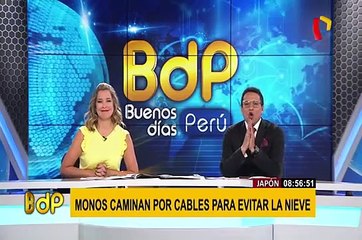 En época invernal: la habilidad de un grupo de monos en Japón se vuelve viral