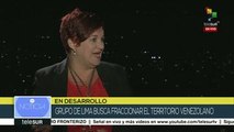 Díaz: Oposición venezolana, empeñada en ser enemigo de la Constitución
