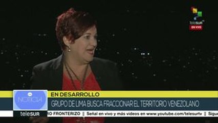 Díaz: Oposición venezolana, empeñada en ser enemigo de la Constitución