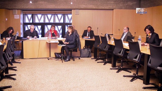 Questions à Michel BLAY (CNRS) - sciences et société - cese