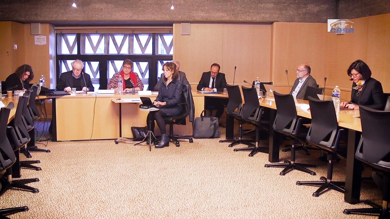 Questions à Michel BLAY (CNRS) - sciences et société - cese