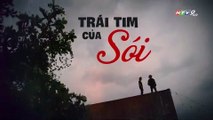 Trái Tim Của Sói Tập 22 - Phim Việt Nam