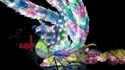 Edinburgh Zoo Giant Lanterns of China