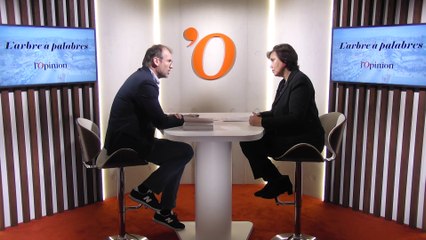 Khadija Mohsen-Finan (politologue): «Les cyberdissidents défient les Etats du Maghreb»