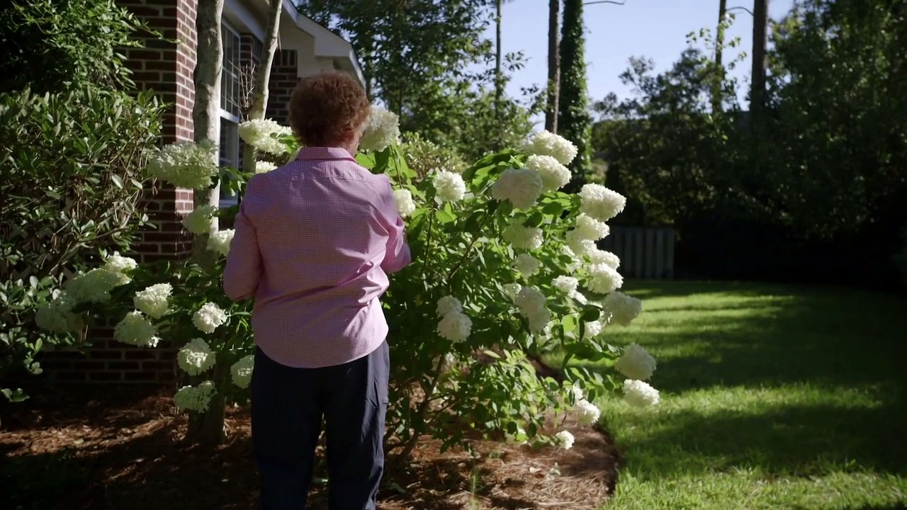 Declassified Spy Stories Trigon KGB Chess Game (History Documentary) Vídeo Dailymotion