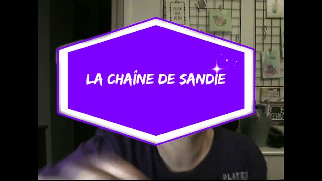 Haul - Action scrapbooking / nouveautés