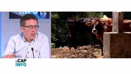 RECAPINFO - 11 JANVIER 2019