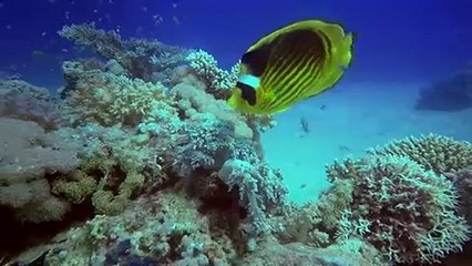 Temperatura dos oceanos aumenta