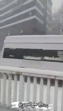 Zonguldak Belediyesi'nden Dünyayı Güzelleştiren Anons 'Yoğun Kar Yağışı Nedeniyle Sokak Hayvanları İçin Uygun Yerlere Yemek Konulması Rica Olunur'