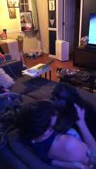 This Dog Misses Her Dad