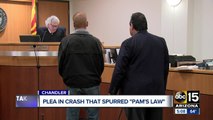 Driver pleads guilty in fatal crash that spurred 'Pam's Law'