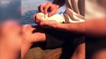 Man Saves Tiny Puppy By Performing CPR