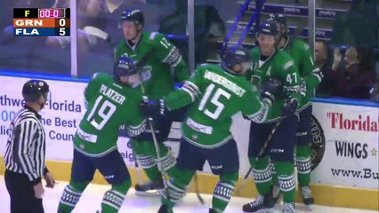 ECHL: Florida Everblades 5, Greenville Swamp Rabbits 0