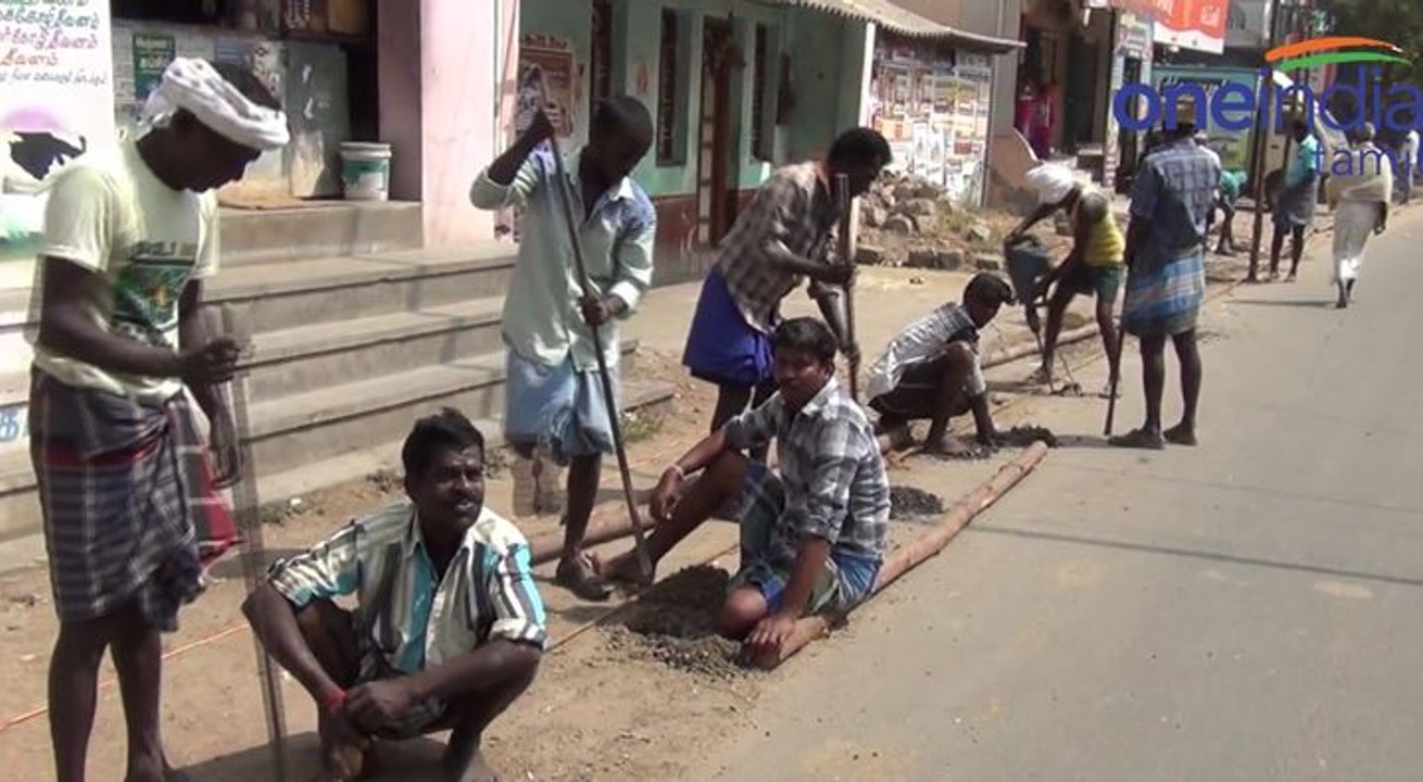 அவனியாபுரம் ஜல்லிக்கட்டு போட்டிக்கு ஏற்பட்டுகள்...